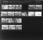 Wreck; Man sitting; Cat (17 Negatives), August 24-25, 1964 [Sleeve 67, Folder d, Box 33]